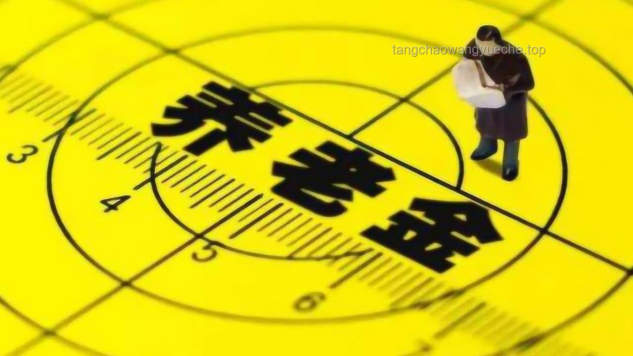 退休人员乐开花！2025年养老金“双增长”全攻略