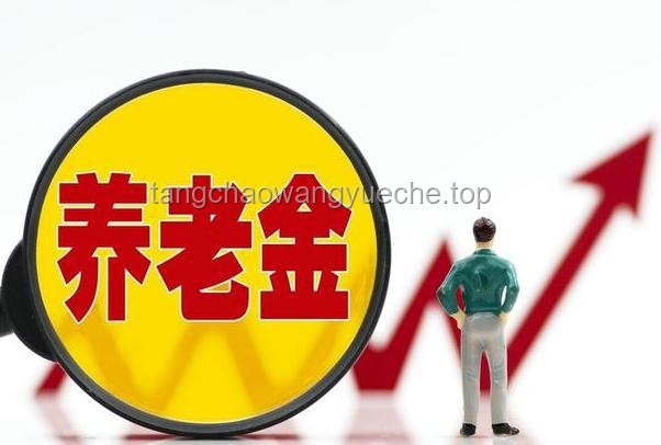 退休人员乐开花！2025年养老金“双增长”全攻略